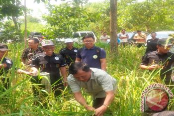 Anggota DPD Minta Kelompok Tani Kreatif 