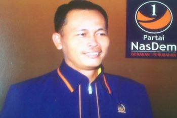Pilkada Mesuji - Dukungan terhadap Dedi Irawan menguat