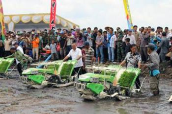 Wagub : Cetak Sawah Baru Dukung Produksi Padi  