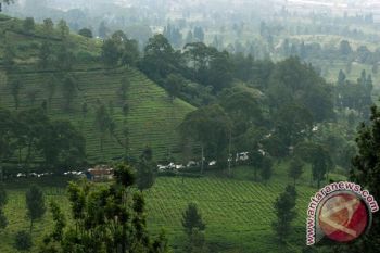 Informasi Jalur Puncak Amblas Cuma "Hoax'