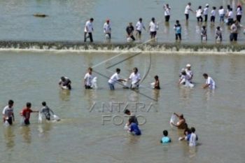 Pelestarian Ikan di Perairan Umum Temanggung Digalakkan