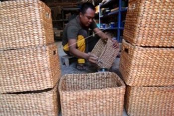 Kerajinan Eceng Gondok Raup Omzet Jutaan Rupiah