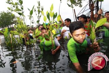 Ponpes Nurul Haramain rehabilitasi 300 hektare hutan 