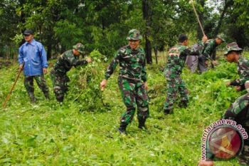 Melibatkan Tni Dalam Mengamankan Hutan Di NTB  