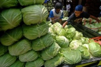 Penurunan Harga BBM Mulai Pengaruhi Harga Sayuran