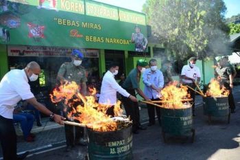 Korem 172/PWY musnahkan 162 kilogram ganja  