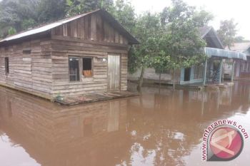 Ratusan Rumah di Cempaga Hulu Kotawaringin Timur Terendam Banjir 