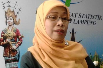 Nilai tukar petani Lampung naik 0,44 persen 
