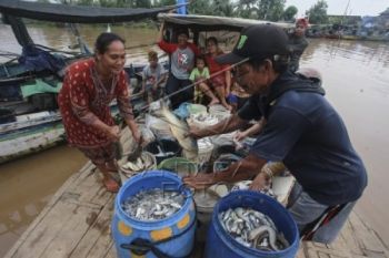 Nelayan Minta Bantuan Alat Tangkap Ramah Lingkungan