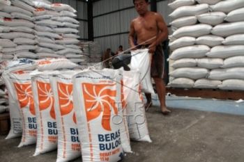 Pengiriman Beras ke Gudang Bulog Terkendala Cuaca 
