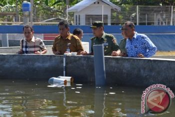 Waaster KSAD Pelajari Budidaya Udang Supra Intensif