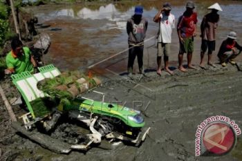 Petani keluhkan bantuan pemerintah belum turun
