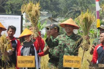  Kodim Magelang Bantu Pasok Gabah ke Bulog