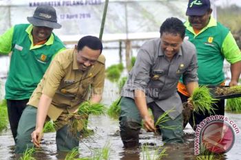 Pemkab Pulpis Targetkan 194 Ribu Ton GKG