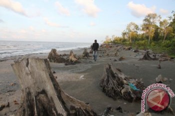 Kerusakan Manggrove Pesisir Pantai