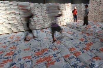 Panen Raya, Pasokan Beras di Kedu Mulai Ramai