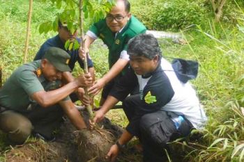 Ansor Tanam Pohon di Kawasan Merapi