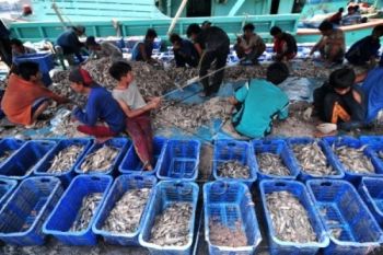 Lindungi Nelayan Perlu Kebijakan Lokal