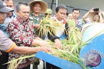 Wakil Bupati Waykanan panen padi bersama petani