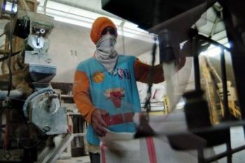 Panen Segera Berakhir, Harga Beras di Tingkat Penggilingan Naik 