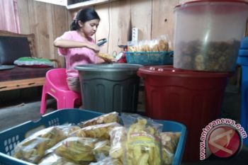 Legislator harapkan pemerintah lebih intensif perhatikan IKM