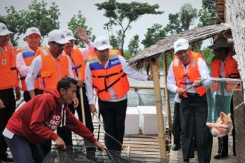 PT Semen Indonesia Panen Ikan di Eks Lahan Tambang