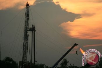 Harga Minyak Melonjak Dipicu Rencana Pengurangan Pengeboran Saudi