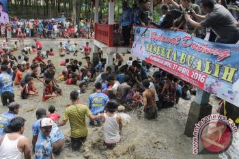 Bupati Waykanan: Lestarikan Tradisi "Bualih"