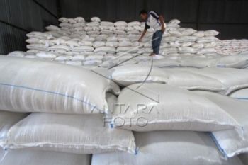 Bulog Diminta Manfaatkan Panen Raya untuk Serap Gabah