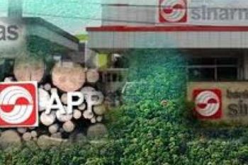APP Sinar Mas Masuk Dalam Organisasi Bisnis Terkemuka Jepang