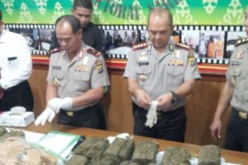 Menyamar jadi Pembeli, Polda Riau Amankan 13Kg Ganja Asal Aceh