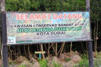   Bandar Bakau Jadi Hutan Kota Penawar Luka Lesunya Pariwisata Dumai