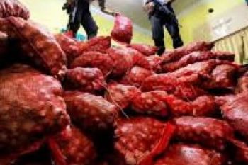 Sudah 236,62 Ton Bawang Merah Asal Malaysia Diamankan BC Dumai