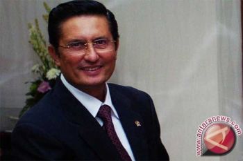 Fadel: pembangunan PLTU/PLTMG Timika strategis 