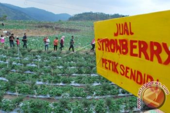 Lahan tidur bisa jadi kebun warga