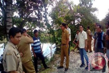 Bupati Barut Instruksikan Penyelesaian Perbaikan Jalan 