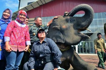 Menteri LHK Dukung Pengembangan Sarana TN Way Kambas