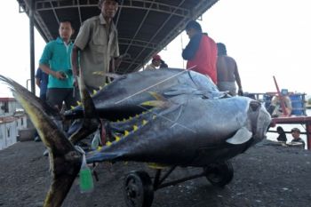 Jateng terus menggarap potensi kelautan-perikanan