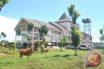 Pol PP Mukomuko: Pemudik waspadai ternak berkeliaran di jalan