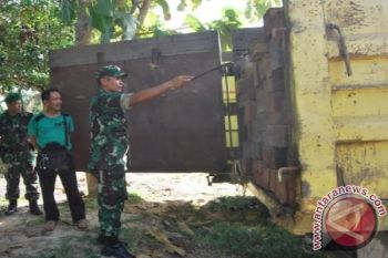 Kodim 1013 Muara Teweh Amankan Kayu Ilegal 
