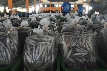 Produksi Ikan TPI Pekalongan Capai 817 Ton
