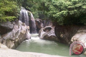 Meraup Rupiah di Hutan Alam Gamaran