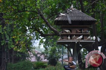 Belum Ideal, RTH Kota Solo Baru 9,72 Persen