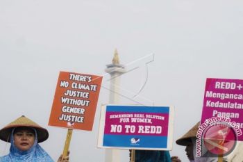 Hentikan Program REDD Di Indonesia