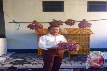 Bulog NTB pasok bawang Bima ke Jakarta 