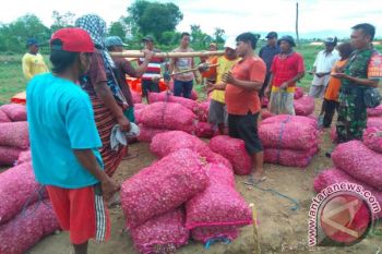 Pemprov NTB dukung Bulog amankan harga bawang merah