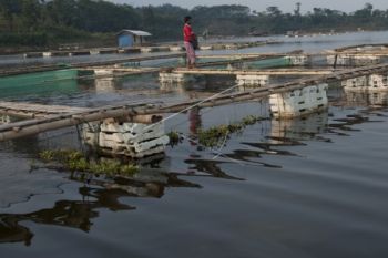 Pekalongan Kembangkan Program "Pen Culture" Petambak 