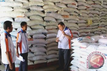 Enam Bulan Ke Depan, Stok Beras Di Barito Selatan Masih Aman