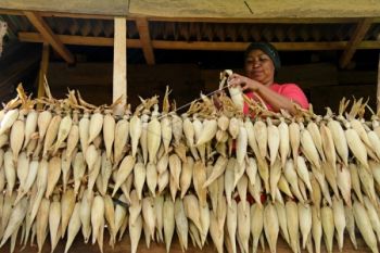 Pemkab Kebumen Kampanyekan Gerakan Pangan Lokal