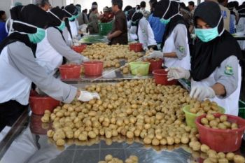 Produk Pertanian Jateng Tembus Pasar Internasional